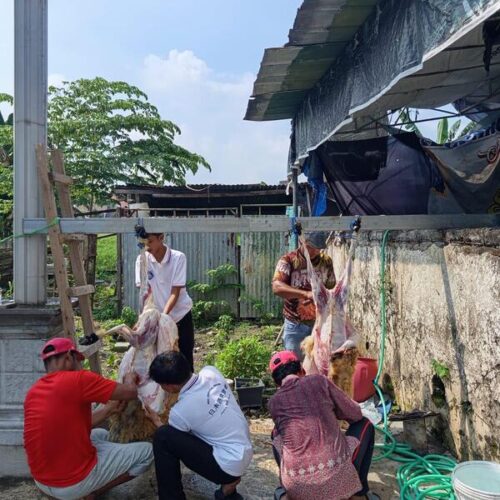 Moment Idul Adha 2026